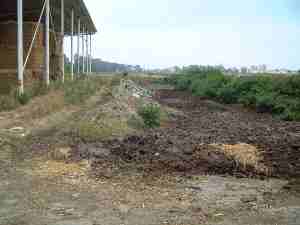 זהום סביבתי ברפת